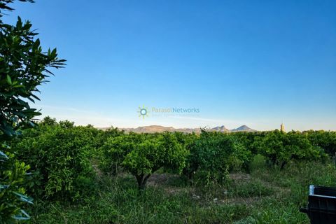 Helårsgrund i Palmera, Valencia, Palmera - € 28.000 | Ref: PNPT300 - foto 2